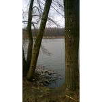 Zdjęcia użytkowników Nokia Lumia 625