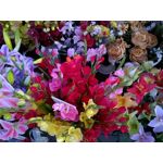 Zdjęcia użytkowników Nokia Lumia 635