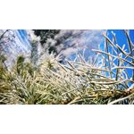 ZDJĘCIA Z TEGO TELEFONU