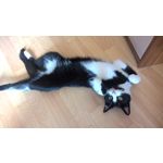 ZDJĘCIA Z TEGO TELEFONU