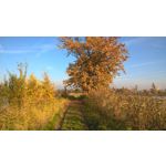 Zdjęcia użytkowników Microsoft Lumia 640 Dual SIM Zdjęcia użytkowników Microsoft Lumia 640 Dual SIM