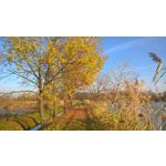 Zdjęcia użytkowników Microsoft Lumia 640 Dual SIM Zdjęcia użytkowników Microsoft Lumia 640 Dual SIM