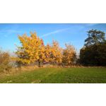 Zdjęcia użytkowników Microsoft Lumia 640 Dual SIM Zdjęcia użytkowników Microsoft Lumia 640 Dual SIM