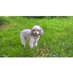 Zdjęcia użytkowników Microsoft Lumia 640 Dual SIM Zdjęcia użytkowników Microsoft Lumia 640 Dual SIM