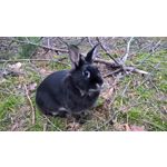 ZDJĘCIA Z TEGO TELEFONU