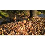 Zdjęcia użytkowników Microsoft Lumia 640 Dual SIM Zdjęcia użytkowników Microsoft Lumia 640 Dual SIM