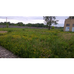 Zdjęcia użytkowników Nokia Lumia 720 Zdjęcia użytkowników Nokia Lumia 720