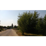 Zdjęcia użytkowników Nokia Lumia 720 Zdjęcia użytkowników Nokia Lumia 720