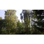 Zdjęcia użytkowników Nokia Lumia 720 Zdjęcia użytkowników Nokia Lumia 720