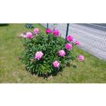 Zdjęcia użytkowników Nokia Lumia 720 Zdjęcia użytkowników Nokia Lumia 720