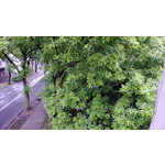 Zdjęcia użytkowników Nokia Lumia 720 Zdjęcia użytkowników Nokia Lumia 720