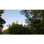 Zdjęcia użytkowników Nokia Lumia 720 Zdjęcia użytkowników Nokia Lumia 720