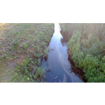 Zdjęcia użytkowników Nokia Lumia 720 Zdjęcia użytkowników Nokia Lumia 720