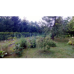 Zdjęcia użytkowników Nokia Lumia 720 Zdjęcia użytkowników Nokia Lumia 720