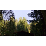 Zdjęcia użytkowników Nokia Lumia 720 Zdjęcia użytkowników Nokia Lumia 720