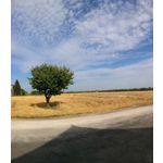 Zdjęcia użytkowników Nokia Lumia 730 Dual SIM