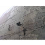 Zdjęcia użytkowników Nokia Lumia 800