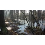 Zdjęcia użytkowników Nokia Lumia 830