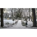 Zdjęcia użytkowników Nokia Lumia 830