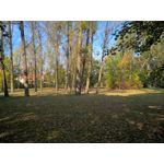 Zdjęcia użytkowników Nokia Lumia 830