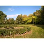 Zdjęcia użytkowników Nokia Lumia 830