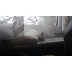 Zdjęcia użytkowników Nokia Lumia 920 Zdjęcia użytkowników Nokia Lumia 920