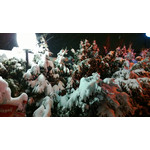 Zdjęcia użytkowników Nokia Lumia 920 Zdjęcia użytkowników Nokia Lumia 920