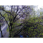 Zdjęcia użytkowników Nokia Lumia 920 Zdjęcia użytkowników Nokia Lumia 920