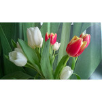 Zdjęcia użytkowników Nokia Lumia 920 Zdjęcia użytkowników Nokia Lumia 920