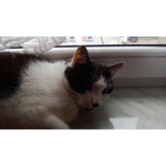 Zdjęcia użytkowników Nokia Lumia 920 Zdjęcia użytkowników Nokia Lumia 920