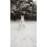 Zdjęcia użytkowników Nokia Lumia 920 Zdjęcia użytkowników Nokia Lumia 920