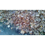 Zdjęcia użytkowników Nokia Lumia 920 Zdjęcia użytkowników Nokia Lumia 920