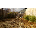 Zdjęcia użytkowników Nokia Lumia 920 Zdjęcia użytkowników Nokia Lumia 920