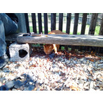 Zdjęcia użytkowników Nokia Lumia 920 Zdjęcia użytkowników Nokia Lumia 920