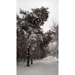 Zdjęcia użytkowników Nokia Lumia 920 Zdjęcia użytkowników Nokia Lumia 920