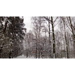 Zdjęcia użytkowników Nokia Lumia 920 Zdjęcia użytkowników Nokia Lumia 920