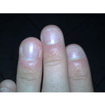 Zdjęcia użytkowników Nokia N82