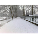 Zdjęcia użytkowników Nokia N82