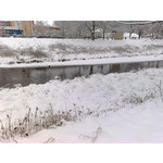 Zdjęcia użytkowników Nokia N82