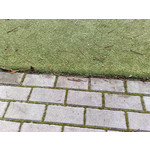 Zdjęcia użytkowników Nokia N82