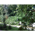 Zdjęcia użytkowników Nokia N82