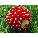 Zdjęcia użytkowników Nokia N82