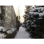 Zdjęcia użytkowników Nokia N82