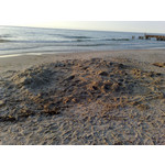 Zdjęcia użytkowników Nokia N82