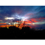 Zdjęcia użytkowników Nokia X3-02