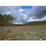 ZDJĘCIA Z TEGO TELEFONU