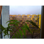 Zdjęcia użytkowników Nokia X3-02