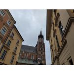 Zdjęcia użytkowników Nothing Phone 1 Zdjęcia użytkowników Nothing Phone 1