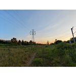 Zdjęcia użytkowników Nothing Phone 2