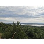 Zdjęcia użytkowników Nothing Phone (3)